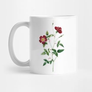 Tiny Red Rose Flower Botanical Illustration Mug